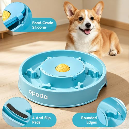 Slow Feeder Dog Bowls, Fun Slow Feeding & Lick Bowl with Rolling Ball