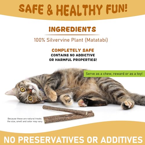 WoLover 12 PCS Silvervine Sticks for Cat, Natural Matatabi Chew Toys - size: 12 Count