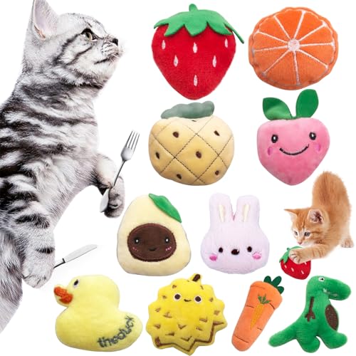Mini Cat Catnip Toys for Indoor Cats 10 Pack