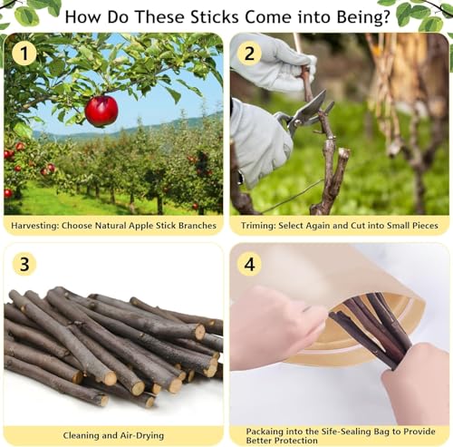 2000g Organic Apple Sticks Small Animals Teeth Grinding Chew Toy - size: 4.41 Pound (Pack of 1)