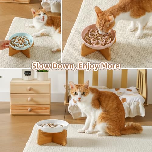PTOBER Elevated Slow Feeder Cat Bowl - Melamine Cat Dish with Anti-Slip Bamboo Stand - Whisker Friendly Feeding Bowl - Floral Maze Food Plate for Slow Eating - White - color: White