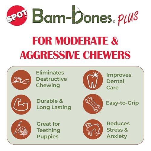 SPOT Bam-Bones Plus T-Bone Dog Chew, Beef, 6in, 30-60 lb Heavy Chewers - size: Medium