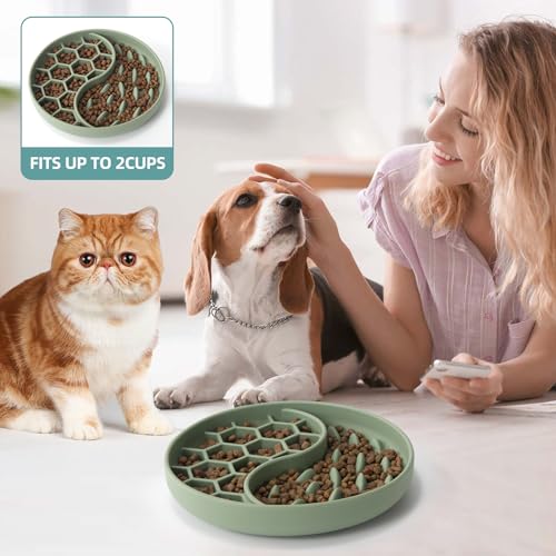 Slow Feeder Dog Bowl, Pet Puzzle Dish w/Suction Cup, Small Medium - color: Green