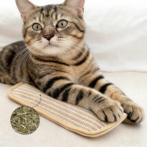 2 PCS Catnip Pillow, Cat nip Pillows, Soft Catnip Pillows for Indoor Cats, Cat Kicker Pillows for Playtime, for Cats with Durable Fabric Construction