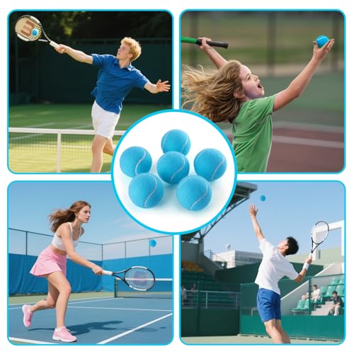 PHOEPET 6-Pack Tennis Balls for Beginner Training Practice- Bulk Dog Balls - color: Blue-6 Pack, size: Medium 2.5"- 6 Pack