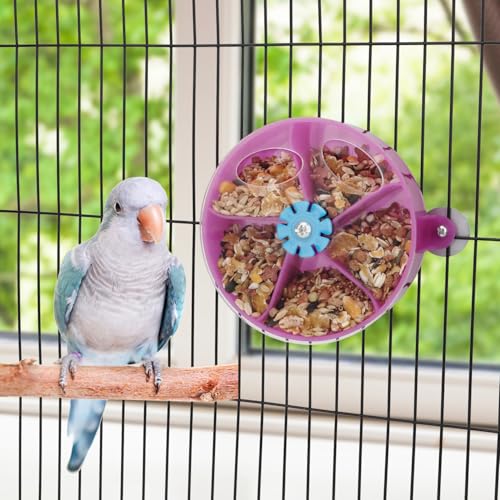 Hypeety Bird Foraging Toy Seed Food Rotating Wheel Feeder System for Parrot