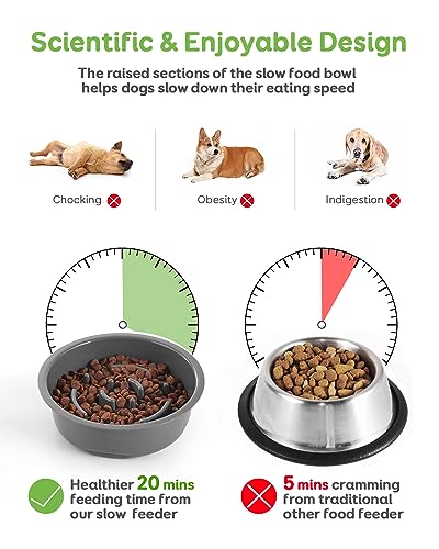 Pawque 35oz Elevated Slow Feeder Dog Food Bowls with Adjustable Stand - color: Grey