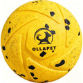 Auto Rolling Bouncing Dog Toy Ball, 3 Interactive Modes