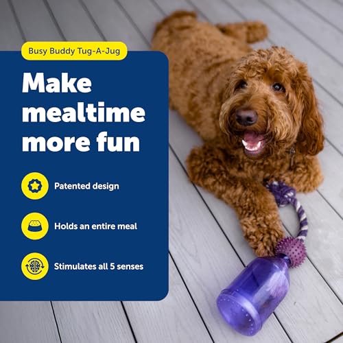 PetSafe Busy Buddy Tug-A-Jug Treat Dispensing Dog Toy, Small