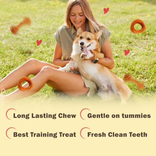 VITADAY Turkey Tendon for Dogs, USA-Sourced, Strips, 3 oz, Pack of 5 - size: 3 Ounce (Pack of 5)