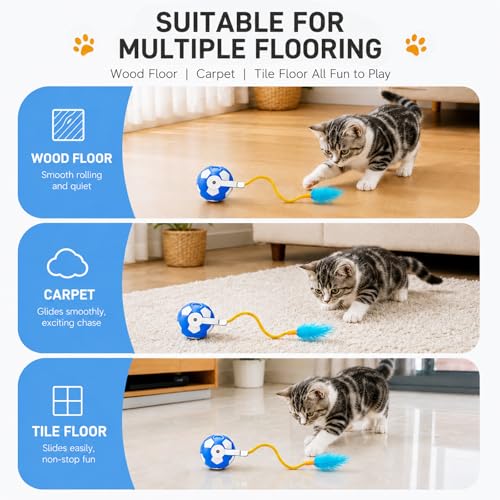 Cat Enrichment Toy, Chase Toy for Bored Indoor Adult Cats - color: C -Blue