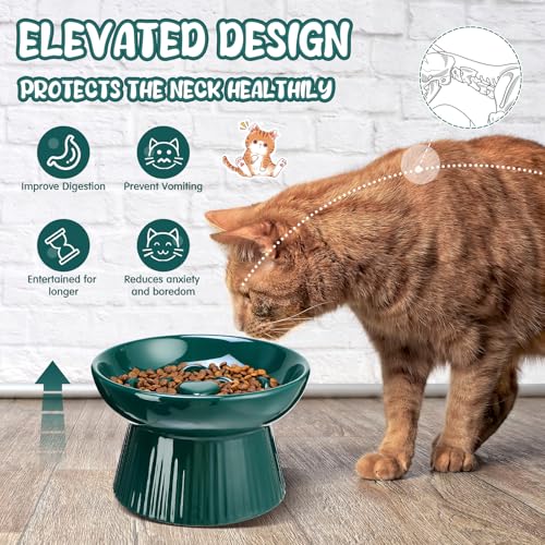Tioncy 1 Pcs Ceramic Elevated Slow Feeder Cat Bowl, Dark Green - color: Dark Green