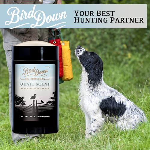 Conquest Scents BirdDown Scent Stick, Dog Training Scent Wax, 2.5 oz - style: Quail