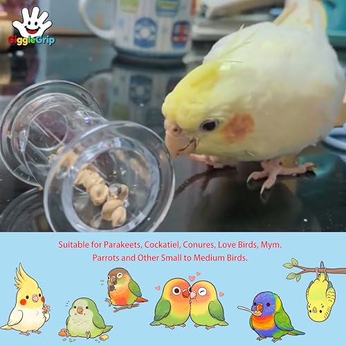 Bird Foraging Toys,Interactive Parrot Training Puzzle & Treat Dispenser, Durable Plastic Enrichment Toys for Cockatiels, Conures, Parakeets, Budgies(Pack4) - color: purple
