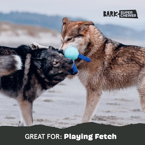 BarkBox Jelly Fetch Dog Toy - for Medium Dogs - color: Jelly Fetch-Medium