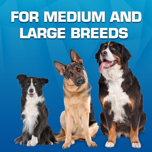 Nerf Dog Trackshot Toss and Tug Ring Outdoor Dog Toy 2 Pack, 9 Inch Dog Tug and Fetch Toy, for Medium and Large Breeds, Blue/Orange/Green - size: Medium