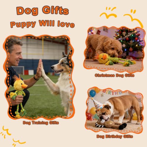 Duck Rope Dog Toy, Plush Lion Squeaky Dog Toy, 2 Pack - color: Yellow & Coffee