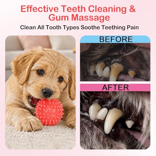 Puppy Toys, 6 Pack Dog Chew Toys, Teething Toys for Small Dogs, Red - color: Red, size: Small（6Pack）