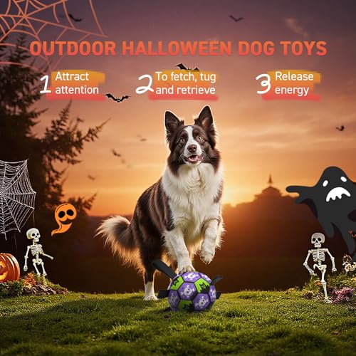 QDAN Halloween Dog Toys Balls with Straps, 8 Inch Large Dog Herding Balls - color: Halloween, size: Large Size 3 (8 Inch)