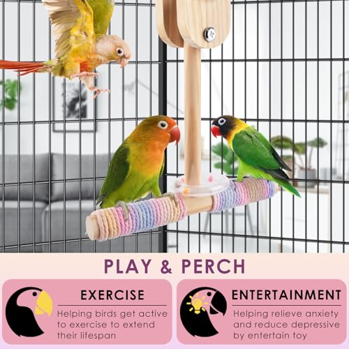 Bissap Shake Bird Perch Toy, Wooden Hanging Stand for Small Medium Parrot