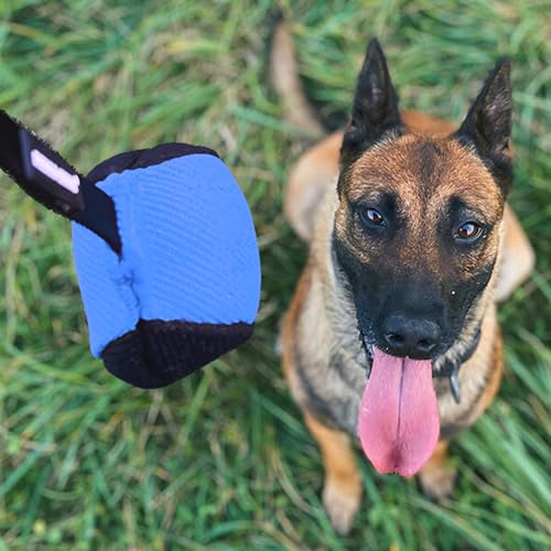 Dingo Gear Dog Ball with Long Handle, French Linen, Blue 29 in - color: Blue-Black