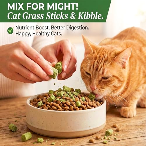 Cat Grass Sticks 6 Pack Silvervine Gall Fruit Chew for Indoor Cats - size: Medium