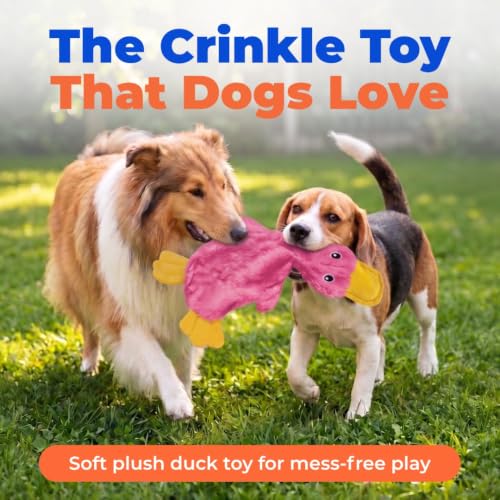 Best Pet Supplies Interactive Squeaky Dog Toy - Crinkle Duck, Pink - color: Crinkle Duck (Light Pink), size: Large