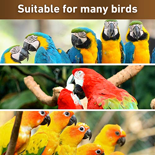MYFAMIREA Parrot Chewing Toys Bird Toys Natural Wood Bird Toys Parakeet Cage Hammock Hanging Toy for Parrots, Cockatoos, African Grey, Cockatiels Small and Medium Birds - color: Natural