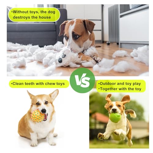 Dog Toy Set, 24 Pack Puppy Teething and Rope Chew Toys with Storage Box, for Small and Medium Dogs