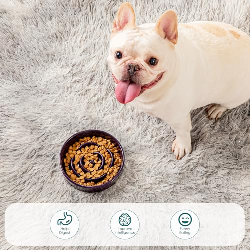 vancasso Slow Feeder Dog Bowl, 0.6 Cups Ceramic Small Puzzle Dog Food Dish - color: Dark Purple, size: S - 0.6 Cups