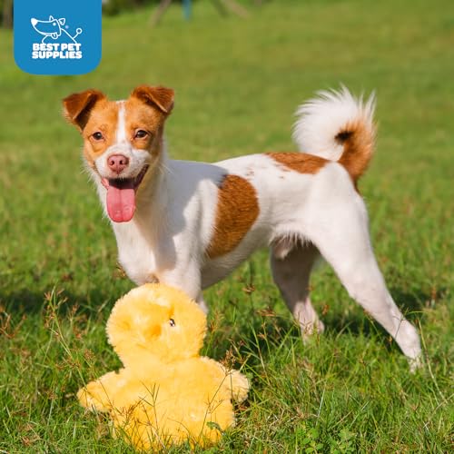 Best Pet Supplies Interactive Squeaky Dog Toy - Baby Chicken, Yellow - color: Crinkle Chicken (Yellow), size: Large