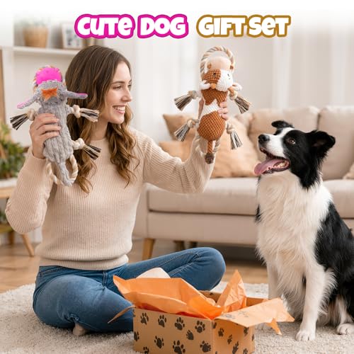 2-Pack Squeaky Crinkle Plush Dog Toys