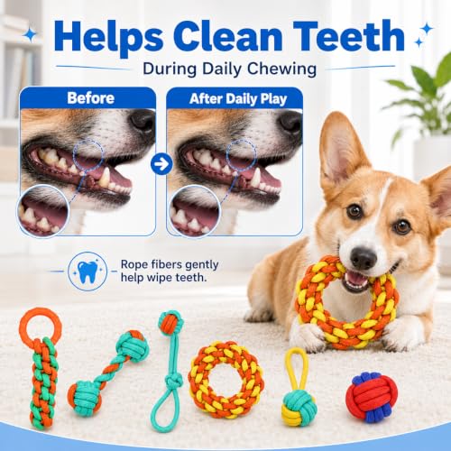 Aitmexcn Dog Rope Toys, 6 Pack Cotton Puppy Teething and Chew Toys - size: 6 Pack-Medium