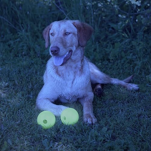 Chew King by Mammoth Set of 2 Glowing Fetch Ball, Durable Bouncy Interactive Toy for Pets & Dogs, Lightweight, 3 Inch, Fits Ball Launcher - color: 2-Pack, size: 3" (2 Pack)