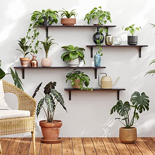 DINZI LVJ Long Wall Shelves, 39.4Inch Wooden Wall Mounted Shelves, Set of 2 - color: Espresso, size: 39.4 Inch