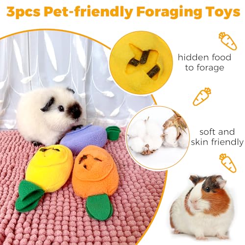 3Pcs Guinea Pig Forage Toys, Guinea Pig Toys Enrichment for Boredom