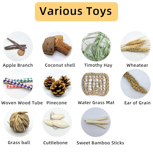 Hamster Chew Toys Box Guinea Pig Treats Bunny Toys for Teeth - size: Small