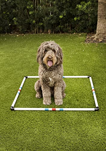 Midlee Dog Agility Pause Box