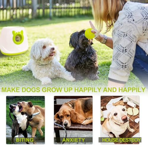 Automatic Dog Ball Launcher Tennis Ball Thrower Machine with 6 Balls,Remote - color: White 2