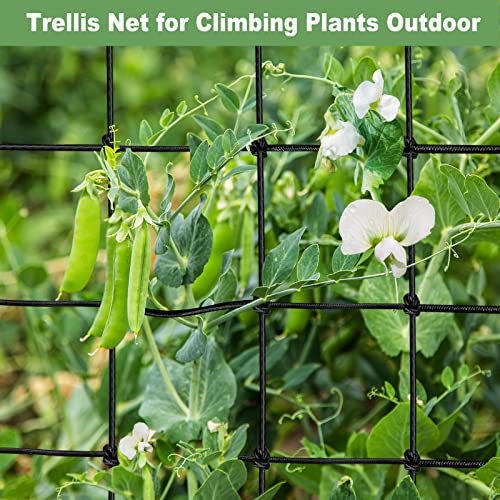 BSTPCOO 5x5 Heavy Duty Scrog Net with Hooks, Stretchy Net for Grow Tents - size: 6" Mesh-5 X 5 FT