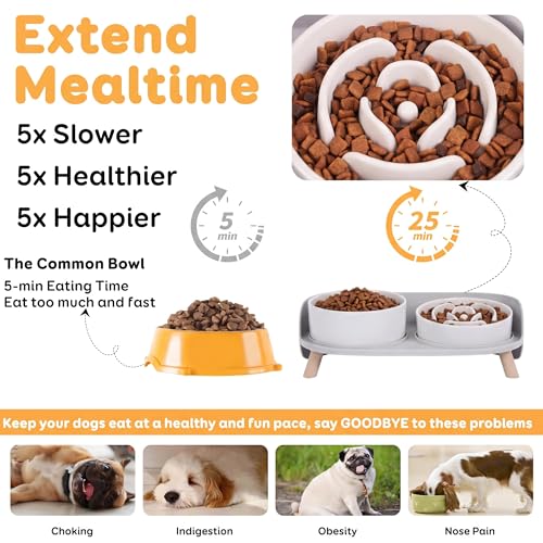 Elevated Slow Feeder Dog Bowls with Splash Proof Stand, Slow Eating 5X - color: White