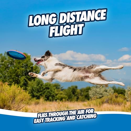 Chuckit! Max Glow Paraflight Flying Disc Dog Toy, Large, 1 Pack - color: Green/Max Glow, size: Large