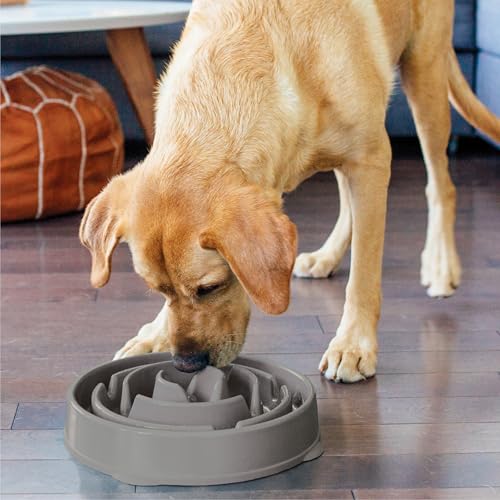 Outward Hound Fun Feeder Slo Bowl Dog Slow Feeder, Drop, Gray, 11.8" - color: Gray, size: Large