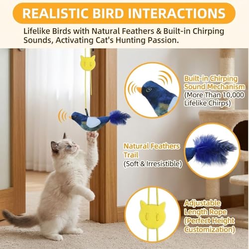 6 pc Interactive Hanging Cat Toy, Self Play Kitten Toys for Indoor Kittens Retractable Bouncing Cat Bird Toy & Cat Feather Toy Attachments Hands-Free Cat Toy Wand Teaser Toys with Feathers