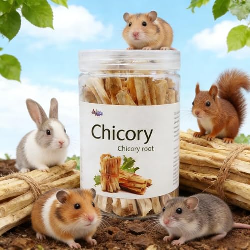 Guinea Pig Chews, Premium Chicory Chew Sticks for Rabbits, Guinea Pig Toys 100% Natural Digestive Aid, Dental Health, Anxiety Relief Chew Toys - Safe Fiber Snack for Rabbit, Chinchilla, Hamster, Rat