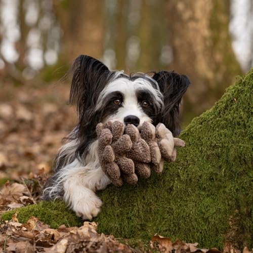 CHEWFFON Interactive Dog Toy, Squeaky Snuffle Game for Boredom - style: Pinecone