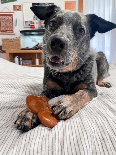 Nylabone Power Chew Pretzel Dog Chew Toy, Small - color: Pretzel 1 Pack, size: Small
