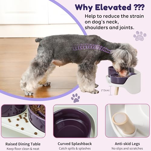Elevated Slow Feeder Dog Bowls with Splash Proof Stand, Slow Eating 5X - color: Purple
