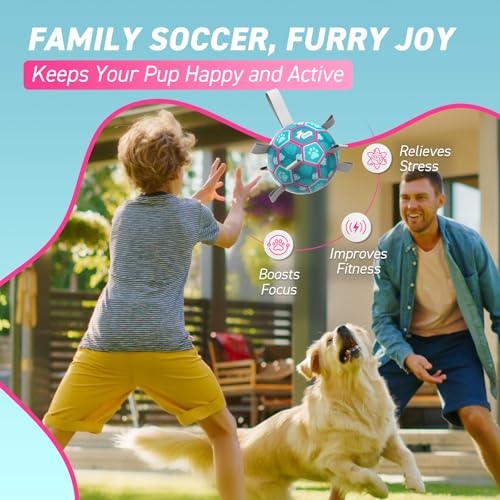 QDAN Dog Toys Soccer Ball with Straps, Pool Dog Water Toy, Outside Ball - color: Lake Blue, size: Medium Size 2 (6 Inch)