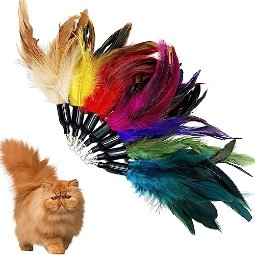 Cat Feather Toys Refill, 16 Pieces Cat Wand Replacement Feathers Toy for Indoor Cats - color: 16PCS Cat Feather Toy Refills